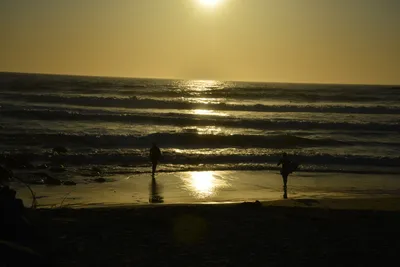 DSC_7283 (Large).JPG